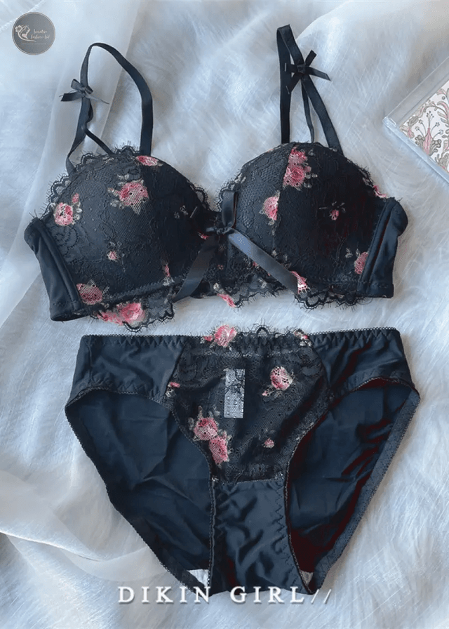 Lenceria Mujer Underwear Women Sexy Lace Floral Bralette Push Up Bras and Panty Sets Comfort Wireless Beauty Back Lingerie Femme_img_0