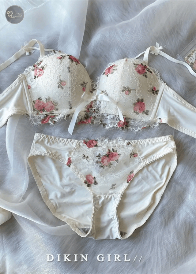 Lenceria Mujer Underwear Women Sexy Lace Floral Bralette Push Up Bras and Panty Sets Comfort Wireless Beauty Back Lingerie Femme_img_2