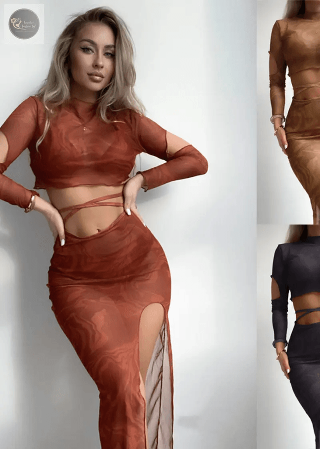 New Summer Women's Sexy Solid Color Long Sleeved Skirt Style Outer Shirt Split Bikini Swimsuit Set_img_2