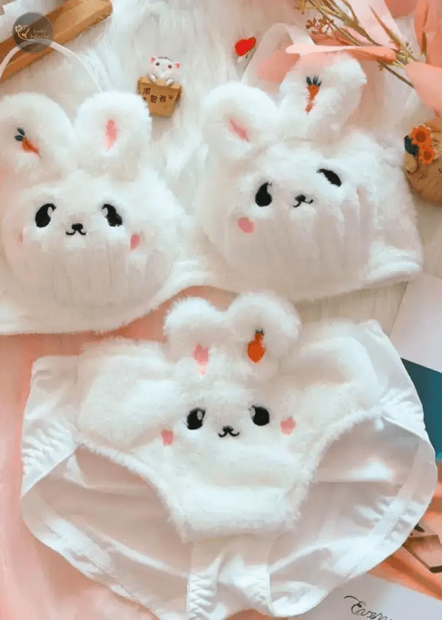 Cute Plush Women Lingerie Set Japanese Cute No Steel Ring Push-up Bra Set Comfortable and Warm Underwear Panties Suit for Women_img_3