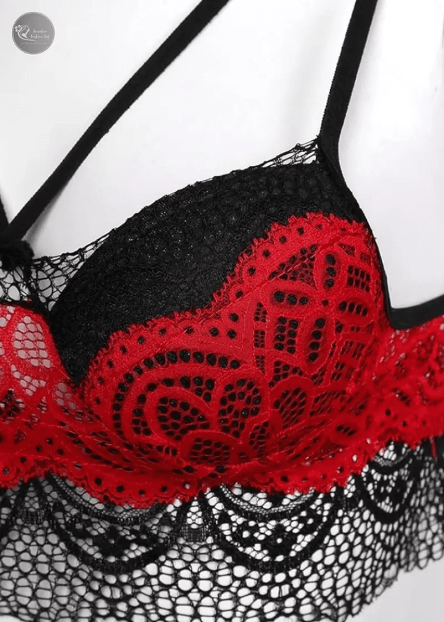 Lady's Sexy Lace Transparent Sheer Tassel Lingerie Set Embroidery and Applique Decorated Chiffon Woven Thong Bra Panty_img_3